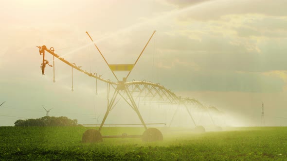 Agricultural irrigation system over agricultural field. lawn field and irrigation sprinkler. 