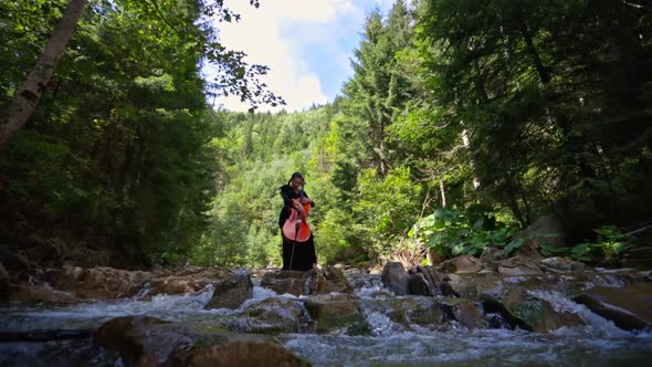 Woman plays the cello in nature. Female musician in black dress performing music in the forest