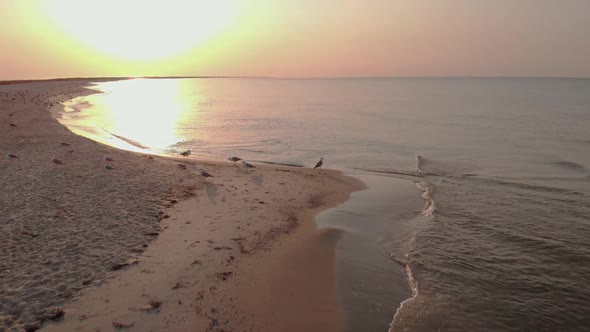 Sand Beach with Calm Water at Sunset