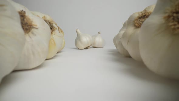 Garlic