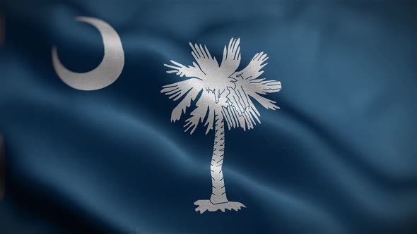 South Carolina State Flag Front