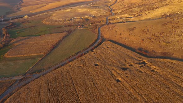 Plantation Agricultural Field Ready for Harvest