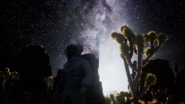 Astronaut and Star Milky Way Formation in Death Valley