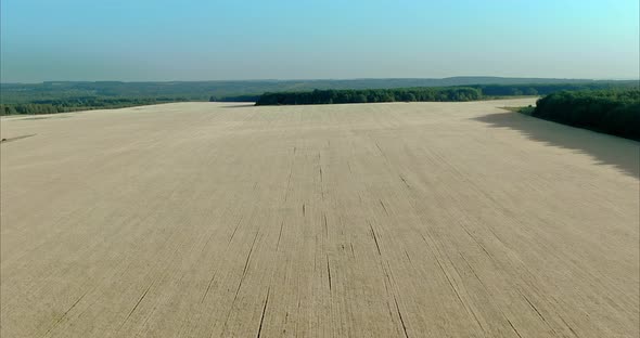 Field of Wheat a Huge Boundless Golden Field Blue Sky