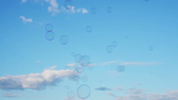 Soap Bubbles Slowly Fly Against Blue Sky