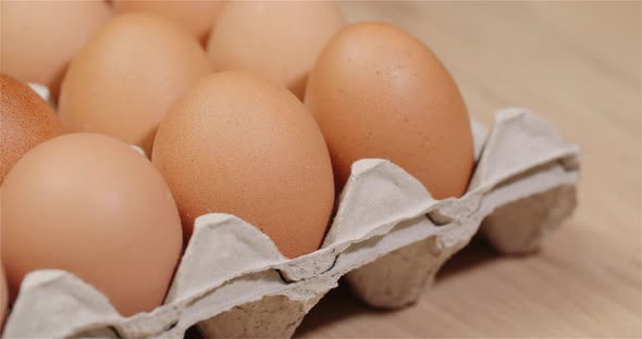 Eggs Extruder Full of Fresh Eggs on Black Background