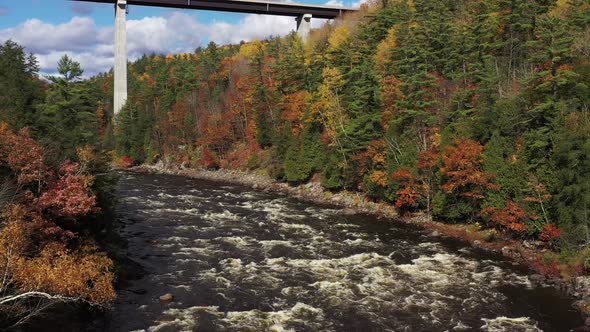 rapids running under bridge revealed from behind trees in fall colors