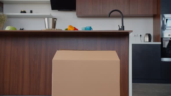 Excited Asian Toddler Girl Hiding in Cardboard Box