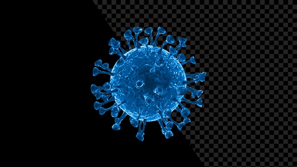 Visualization Of Coronavirus Covid 19 V3 alt
