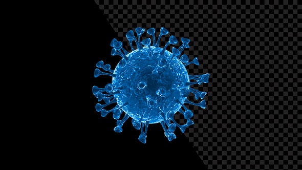 Visualization Of Coronavirus Covid 19 V3
