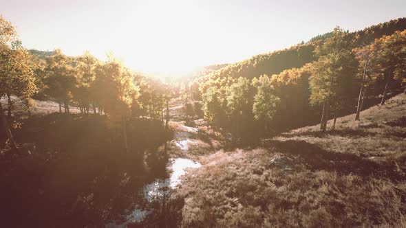 Summer Landscape in the Mountains