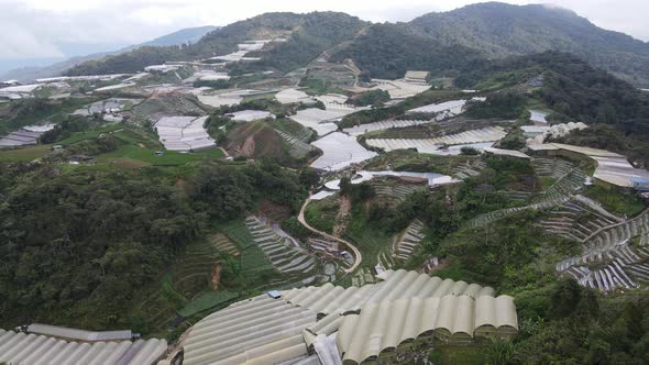 Cameron Highlands, Pahang Malaysia