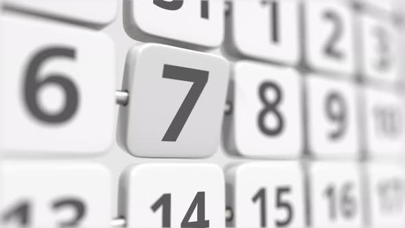 7 Date on the Turning Calendar Plate alt