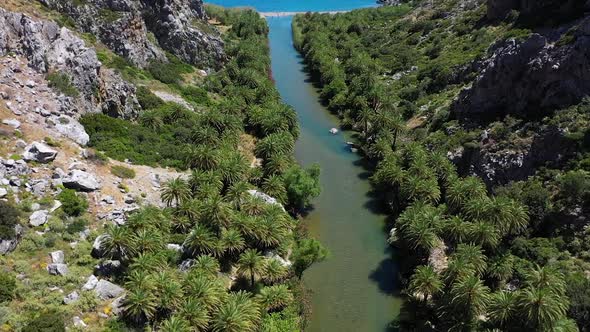 The wide valley between two mountains at the palm forest of Vai - crete, greece.