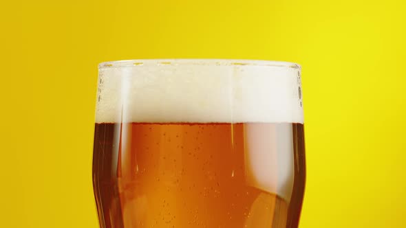 Foamy Beer in Glass Closeup