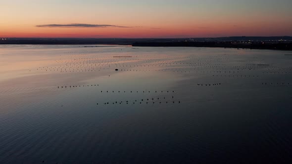 Mediterranean mussel farm in the Mar Piccolo of Taranto