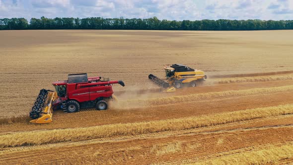 Modern machinery collecting ripe crop