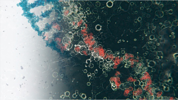 Pack of 2 Futuristic DNA Structures 4K alt