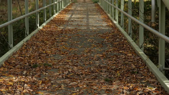 Metal footbridge over a scenic creek during fall or autumn. TILT UP SHOT.