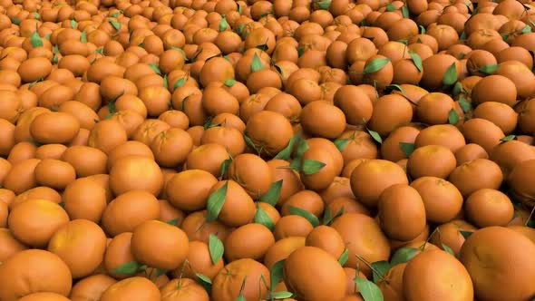 Flying Over The Mandarins Pile