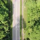 top shot road in the jungle - VideoHive Item for Sale