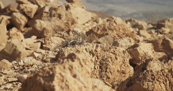 Desert clifs near the Dead Sea in Israel