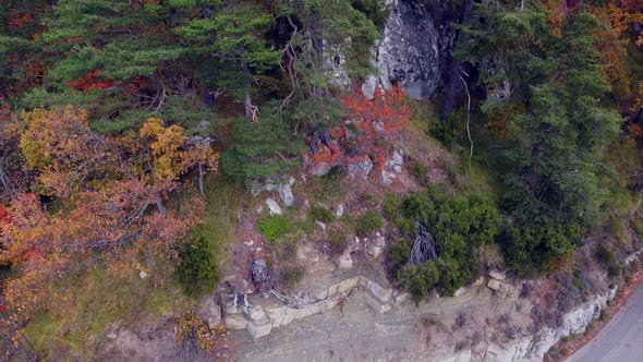 Aerial view of mountains and colorful trees