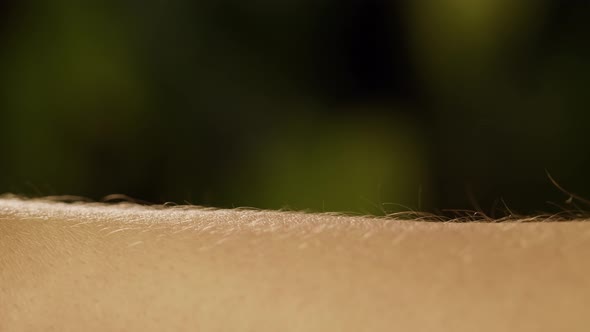 Hand Skin Closeup Human Body Part Arm Surface Macro Shooting