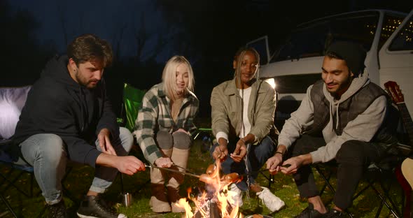 Multiracial Friends Having a Picnic By Fire