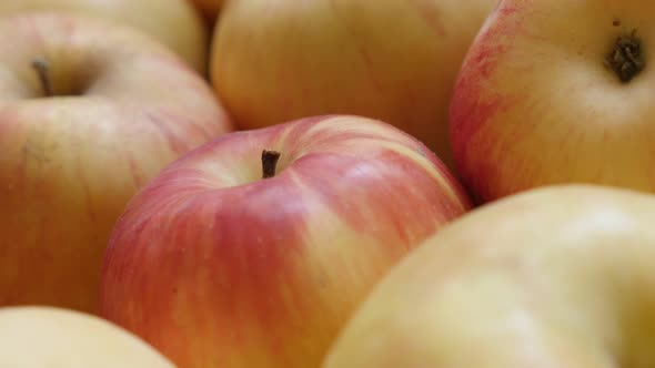 Slow pan on  pile of organic fresh apples close-up 4K 2160p UHD footage - Malus pumila domestica fre
