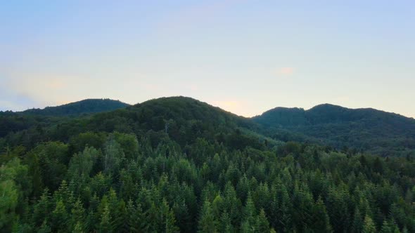 Aerial view over forest and hills in the Carpathian Mountains, during dusk, in Ukraine -  reverse, d