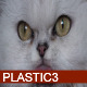 Cats Face Closeup HD - VideoHive Item for Sale