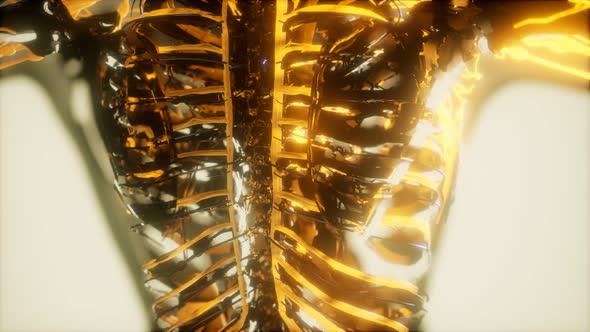 Inspection of Blood in the Blood Vessels of the Circulatory System alt