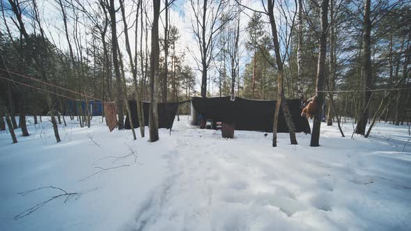 A Hut of Homeless People in the Woods in Winter