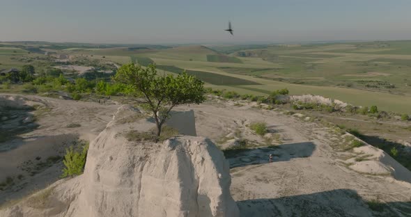 orbit aerial shot cliff with a tree on top of one of it of people running between two cliffs, fetest
