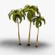 Coconut Tree - 3DOcean Item for Sale