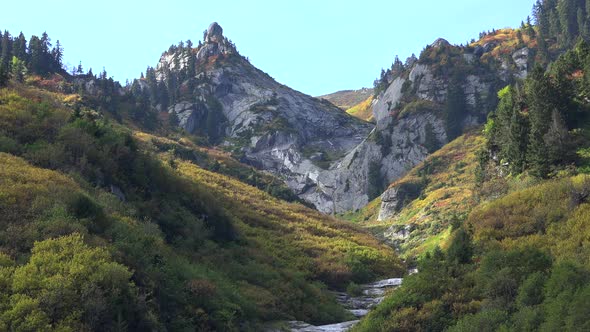 Colorful Mix Plants in Mountain at Approaching Autumn Season Colors