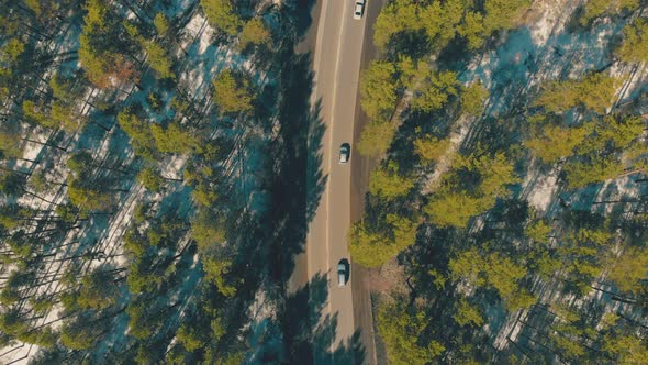 Cars Drive Along Brown Roadway and Cross Green Forest