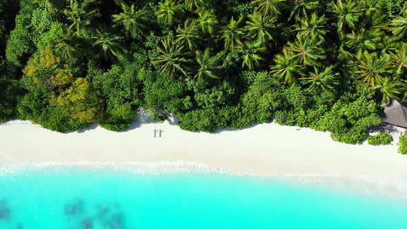 Shiny lush vegetation and palm trees forest over white sand of exotic pristine beach washed by calm