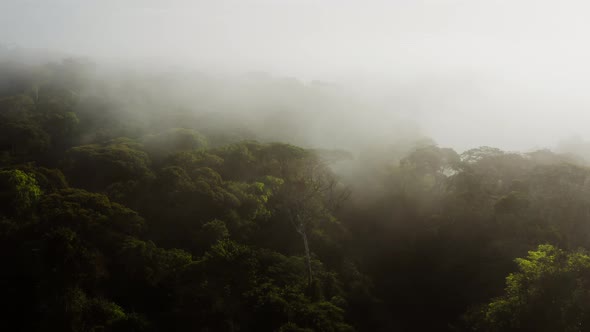 Aerial Drone Shot About Climate Change in Costa Rica with Misty Rainforest Scenery, High Up Above Cl