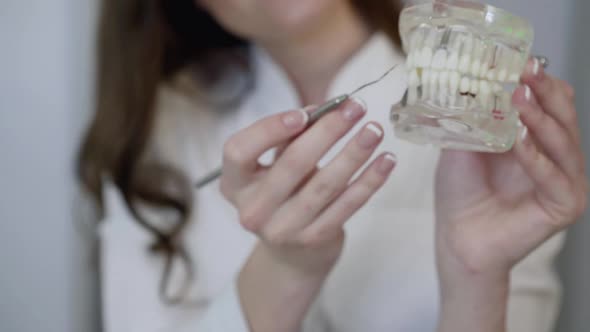 Dentist Showing at Camera How to Check Teeth Using Human's Jaw and Dental Tool