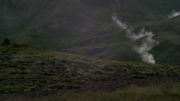 dramatic iceland landscape, sheep and lambs, geothermal steam smoke rising from a hot spring in the