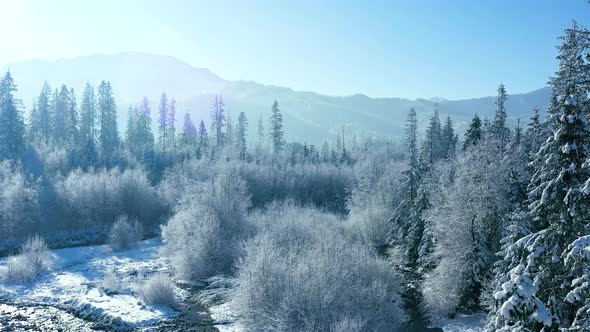 Winter in the Mountains