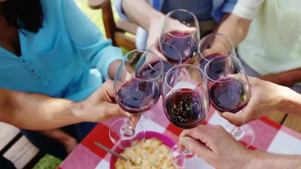 Family toasting glasses of red wine in the park