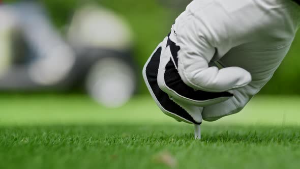 Male hand in a golf glove puts the ball on the field