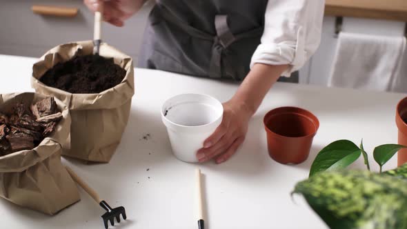 A Woman Throws Soil Into A Pot For Indoor Plants. A Gardening Tool With A Shovel For Plants