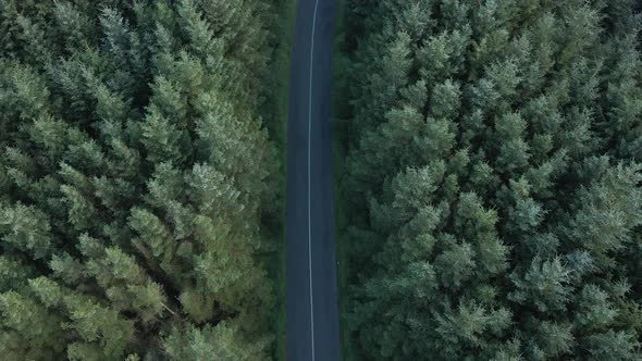 Asphalt Road Surrounded By Young Forest Trees In The Wicklow Mountains In Ireland - aerial drone, to
