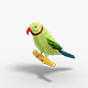 Parrot Lowpoly - 3DOcean Item for Sale