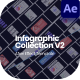 Infographic Collection After Effect - VideoHive Item for Sale