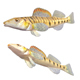 Southern Logperch Fish - 3DOcean Item for Sale